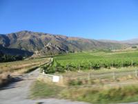 0632 Fahrt zur Westküste - Gibbson Valley