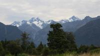 0753 Mout Tasman und Mount Cook