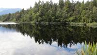 0765 Spaziergang zum Lake Matheson - Spiegelung im See