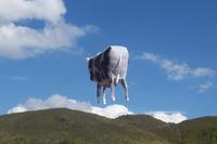 der erste Ballon steigt auf