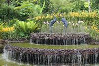 Wasserspiel im Orchideenviertel