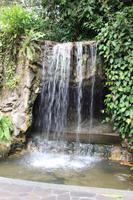 Wasserfall im Botanischen Garten