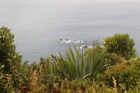 Ausblick vom Kingston-Point 