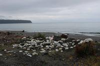 Steinstrand an der Westküste