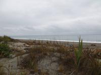 Blick auf den Strand (Ships Creek)