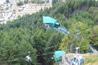Bungee Jumping am Bob's Peak