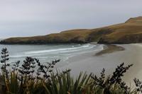 Bucht der Gelbaugenpinguine 