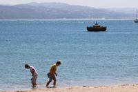 Strand in Wellington 