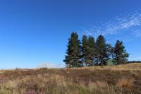Landschaft vor dem Ruapehu-Massiv
