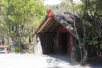 Maori-Dorf in Te Puia 