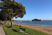 Strand von Paihia am Morgen 