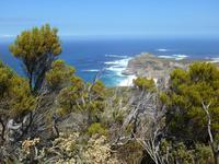 Cape Point (Wanderung zum alten Leuchtturm)