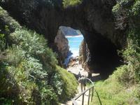 Featherbed Naturreservat (Impressionen bei der Wanderung - Abstieg zur Sea Cave bzw. Meereshöhle)