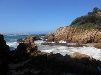 Featherbed Naturreservat (Impressionen bei der Wanderung)