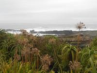 Tsitsikamma-Nationalpark