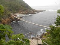 Tsitsikamma-Nationalpark (Wanderung zur Hängebrücke)