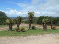 Kariega (Rundgang durch den Lodge-Bereich)