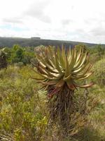 Kariega (Rundgang durch den Lodge-Bereich)