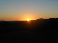 Abend-Safari am 26.02. - Sonnenuntergang