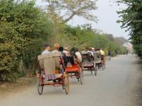Fahrradrikschafahren in Lumbini