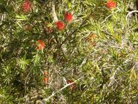 im Botanischen Garten