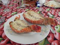 herrlich Lobster