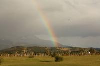 Regenbogen zum frühen Morgen im Nationalpark 