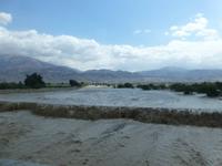 Unterwegs zum Toten Meer