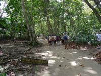 Cahuita Nationalpark