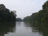 Auf den Kanälen von Tortuguero