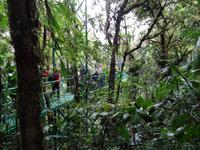 Sky Walk in Monteverde