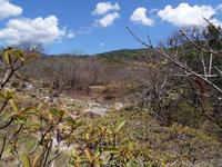 Savanne am Vulcan Rincon de la Vieja