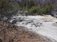 Fumarole am Vulcan Rincon de la Vieja