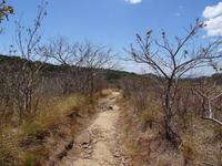 Savanne am Vulcan Rincon de la Vieja