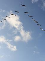 Ordnung ist das halbe Leben