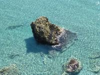 glasklares Wasser in einer Badebucht in Nerja