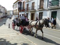 Andalusien 2014 