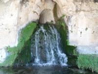 Sizilien 2014 318/ Süßwasser in Syrakus, archeologisches Zentrum
