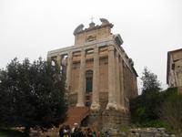 Besichtigung des Forum Romanum (Tempel der Faustina und des Antonius Pius)