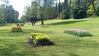 Sigurta Park zur Tulpenblüte