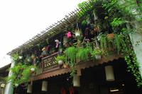 Hoi An