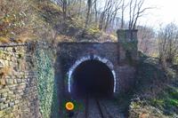 065 Vulkaneifel-Tönissteiner Tunnel (95 m)