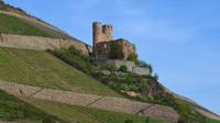 176 Schifffahrt durch das Mittelrheintal, Ruine Ehrenfels