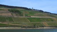 181 Schifffahrt durch das Mittelrheintal, Weinberge mit Niederwalddenkmal