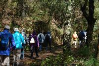 Wanderung entlang der Levada 