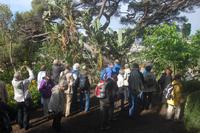 Im botanischen Garten Funchal