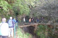 Wanderung entlang der Levada von Marocos