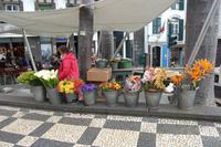 Blumenfrau in Funchal