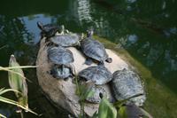 Im Hongkong-Park