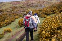 Levada-Wanderung durch die Hochebene „Paúl da Serra“